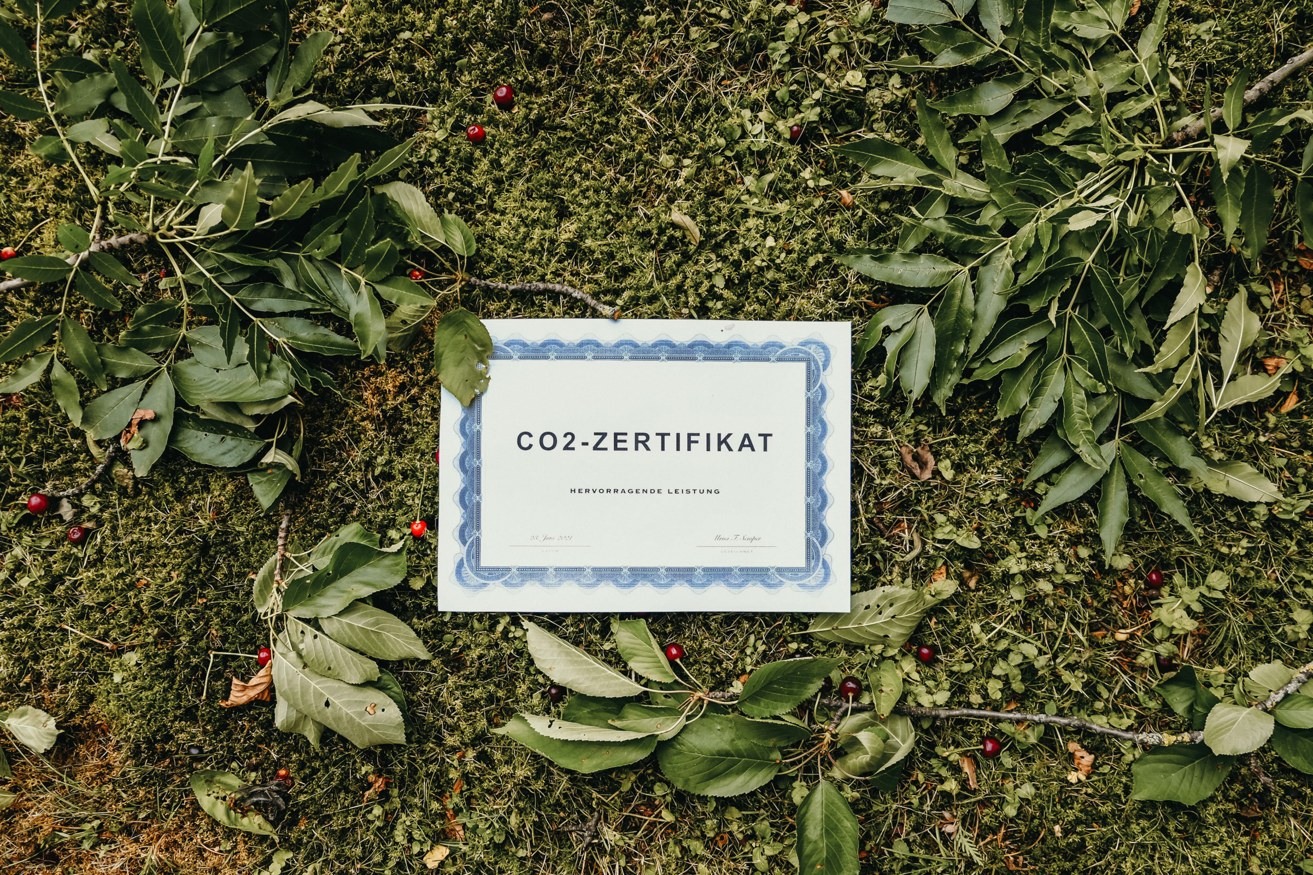 CO2 Zertifikate kaufen