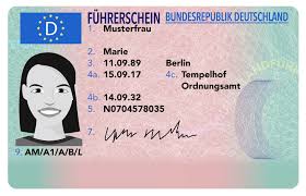 führerschein kaufen strafe