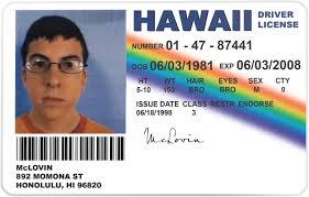 Novelty Drivers License